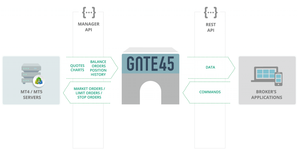 Devexperts Gate45 for mt4 broker