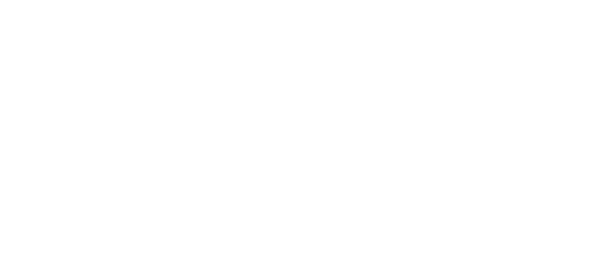 Freestoxx Logo